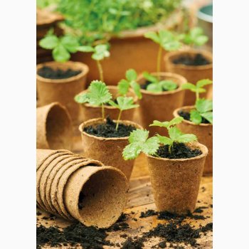 Trfiber potter 24 stk. 6 cm i diameter