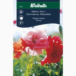 Kornvalmue �Shirley� � Papaver rhoeas � Fr� (r�kker til ca. 5�6 meter)