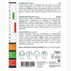 Kornvalmue �Shirley� � Papaver rhoeas � Fr� (r�kker til ca. 5�6 meter)