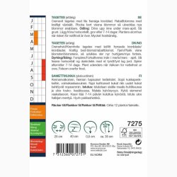 TAGETES SNOWDRIFT (min. 40 fr)