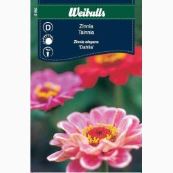 Zinnia elegans Dahlia - Frkenhat (ca. 80 fr)