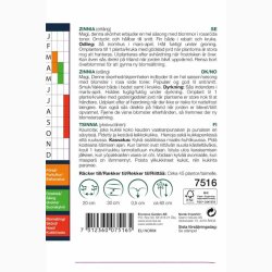 Zinnia Ezquisite - Frkenhat (min. 45 fr)