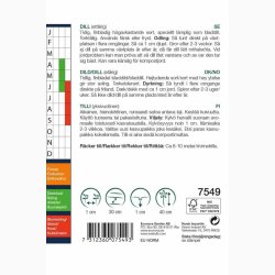 Dildfr Anethum graveolens Dild Mammut - Bladdild