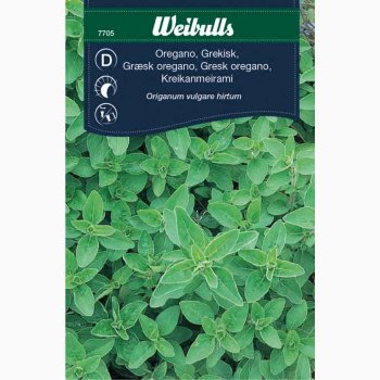 Oregano grsk ( min. 35 fr)
