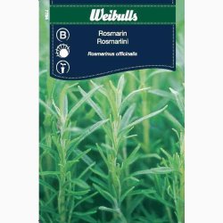 Rosmarin officinalis - Rosmarin (min 30 fr)