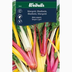 Bladbede �Bright Lights F1� � Fr� (r�kker til ca. 50 planter)