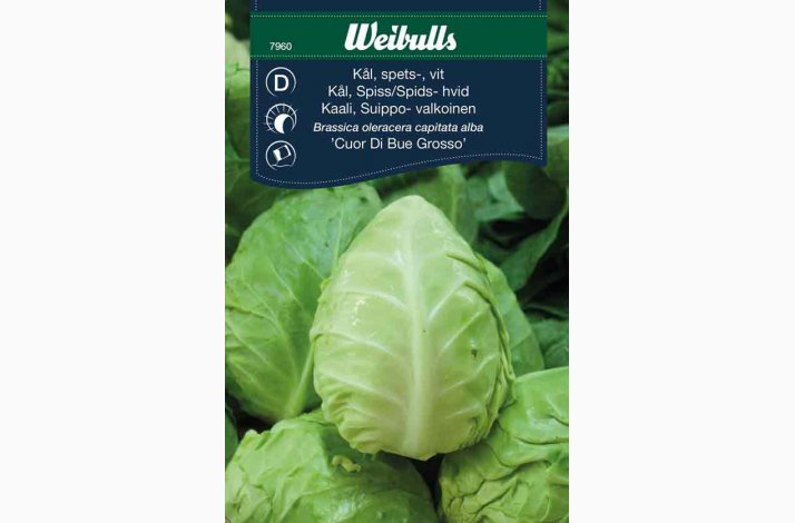 Spidsklsfr Cour Di Bue Grosso Spidskl (min. 80 fr)