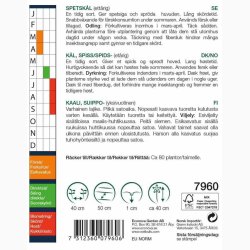 Spidsk�lsfr� Cour Di Bue Grosso Spidsk�l - Fr� (r�kker til ca. 80 planter)