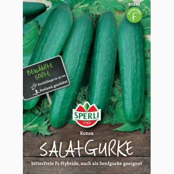Salat agurk Konsa F1