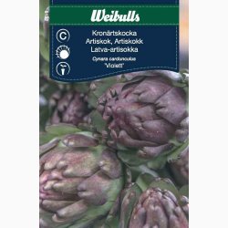 Artiskokfr Artiskok violett (min. 10 fr)