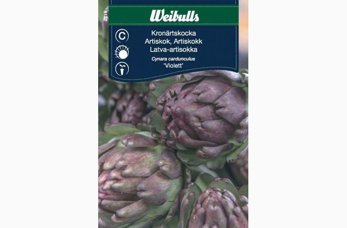 Artiskokfr Artiskok violett (min. 10 fr)