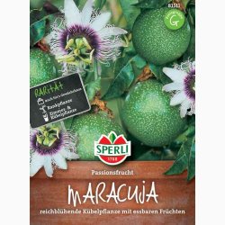 Passiflora edulis Maracuja - Passionsfrugt
