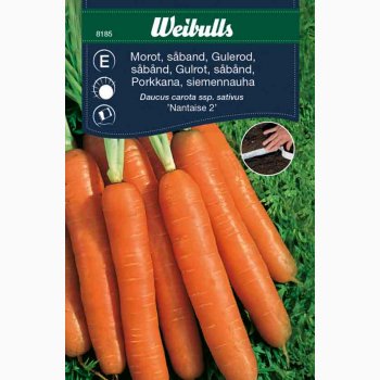 Gulerod sbnd nantaise 2