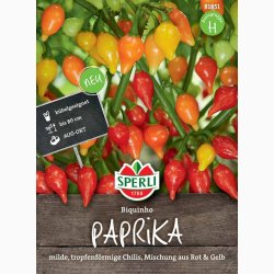 Chilifr Capsicum chinense Biquhino