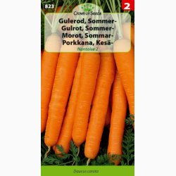 Gulerod, Sommer Nantaise 2 (C) - (800 fr)