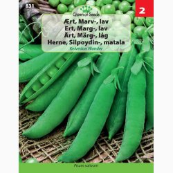 rt, Marv-, Kelvedon Wonder (C) (min. 70 fr)