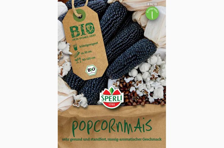 kologiske fr Majsfr Zea Mays Popcorn Negro Cine  - Popcorn
