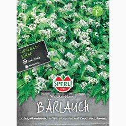 Ramslgfr Allium Ursinum Waldknoblauch - Ramslg