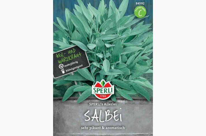 Salvia officinalis - Salvie