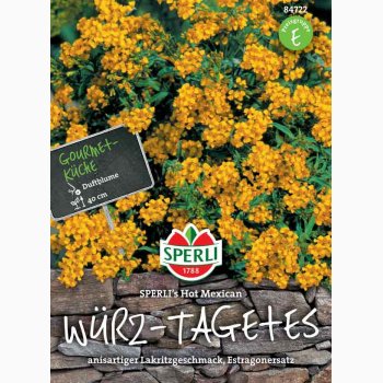 Tagetes lucida - Sperlis Hot Mexican -  Mexikansk estragon med lakridssmag