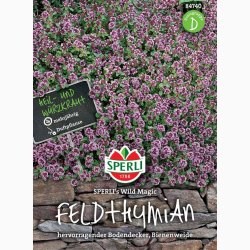 Thymus serpyllum Wild Magic smalbladet - Timian