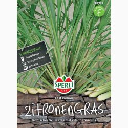 Cymbopogon flexuosus East Indian - Citrongrs