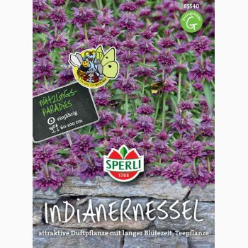 Monarda citriodora - Citron Monarda