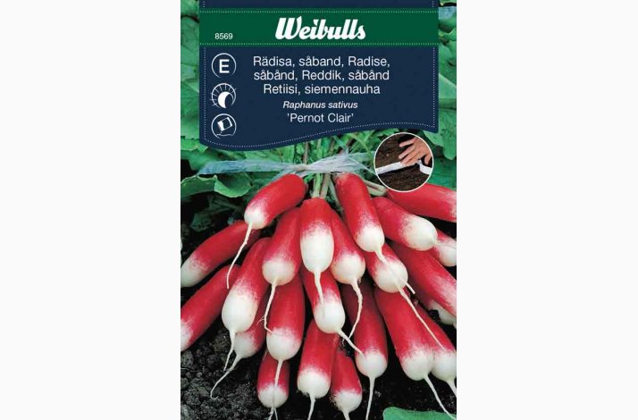 Radise �Pernot� � S�b�nd � Fr� (r�kker til ca. 6 meter)