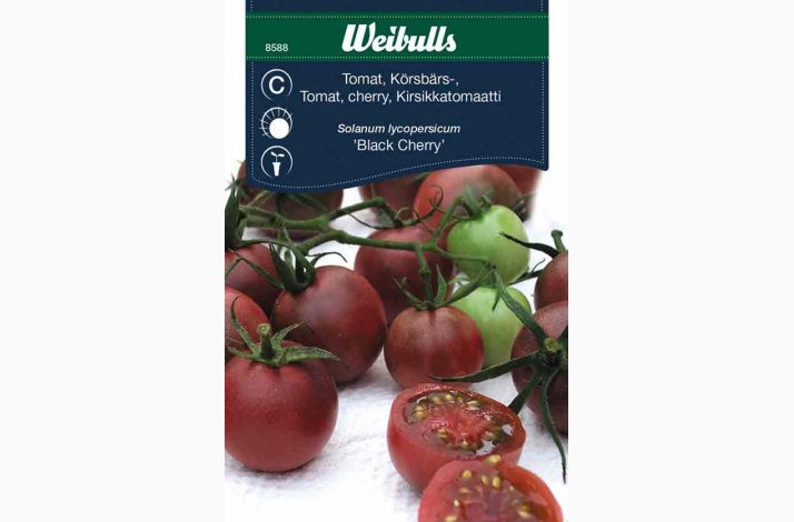 TOMAT BLACK CHERRY Fr� (min 20 stk.)