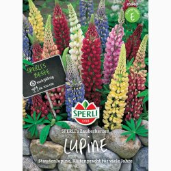 Lupinen, SPERLIs Miks - Staudelupin