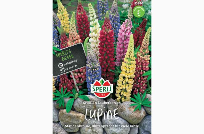 Lupinen, SPERLIs Miks - Staudelupin