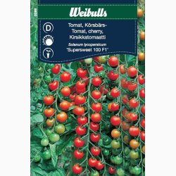 Tomatfr� TOMAT, CHERRY Supersweet 100F1