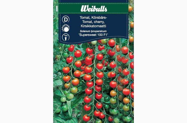 Tomatfr� TOMAT, CHERRY Supersweet 100F1