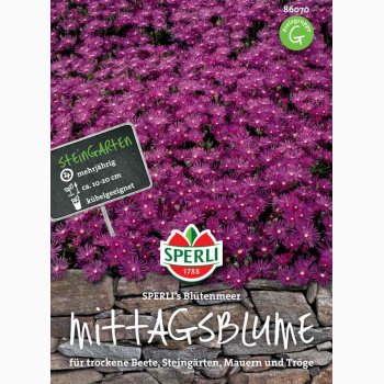 Middagsblomst SPERLI's blomsterhav