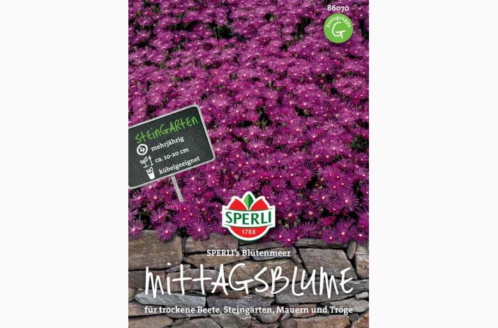 Middagsblomst SPERLI's blomsterhav