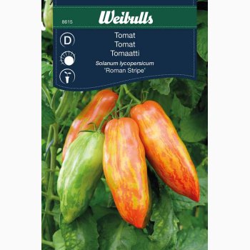 Tomat Roman Stripe (min. 12 fr) - Tomatfr