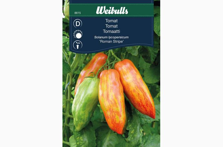Tomat Roman Stripe (min. 12 fr) - Tomatfr