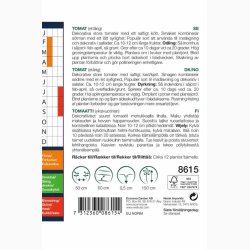 Tomat Roman Stripe (min. 12 fr) - Tomatfr