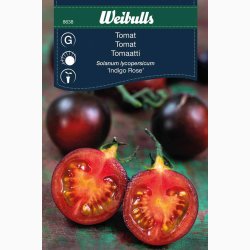 Tomat Indigo Rose (min. 8 fr) - Tomatfr