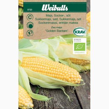 �kologiske fr� Zea Mays Majs Golden Bantam - Sukkermajs, Krav, Fr� (min 20 stk.)