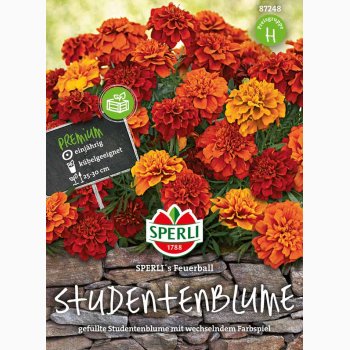 Blomsterfr, Tagetes SPERLI's Feuerball- Fljlsblomst