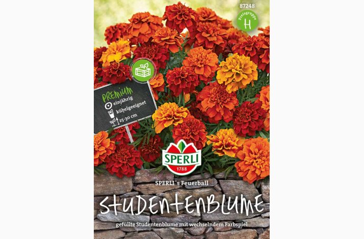Blomsterfr, Tagetes SPERLI's Feuerball- Fljlsblomst