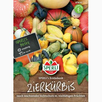 Cucurbita pepo SPERLI's Thanksgiving - Pyntegrskar