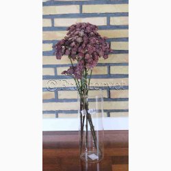 Kunstig Plante Echeveria H: 45 cm vinrd 