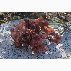 Kunstig Plante Echeveria H: 45 cm vinrd 