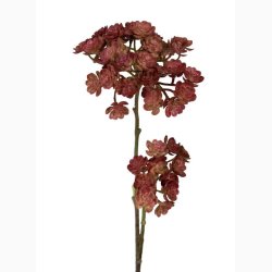 Kunstig Plante Echeveria H: 45 cm vinrd 