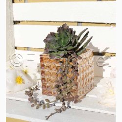 Kunstig Plante Succulent buket H:20 cm-Sukkulent