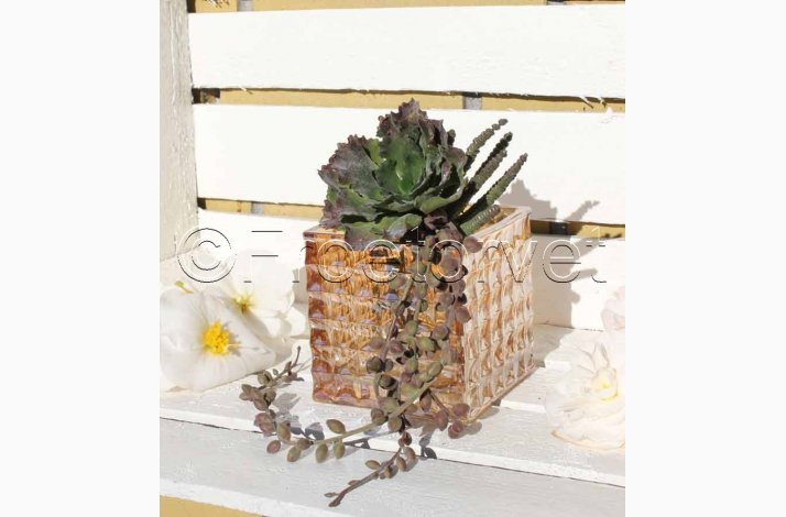 Kunstig Plante Succulent buket H:20 cm-Sukkulent