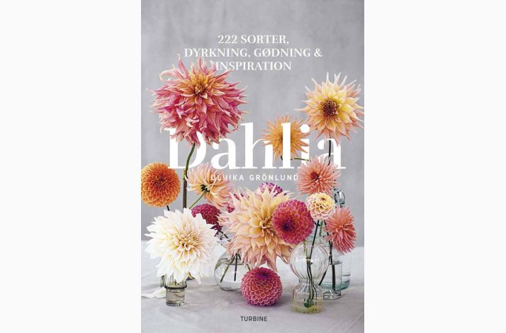 Dahlia -  222 sorter, dyrkning, gdning &amp; inspiration, bog