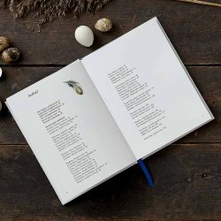 HAVENS FUGLE - Som jeg ser dem af Carl Christian Tofte, bog